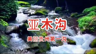 应对雨雪恶劣天气 郑州交警全员上路服务市民出行